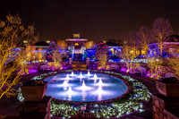 Colorful Garden Lights at Night