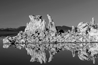 Mono Lake Tufa Formations Reflected