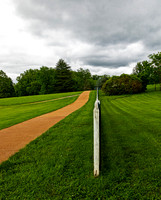Pathway in Green Landscape Under Overcast Sky