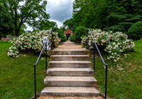 Gardens and Steps at a Historic Estate