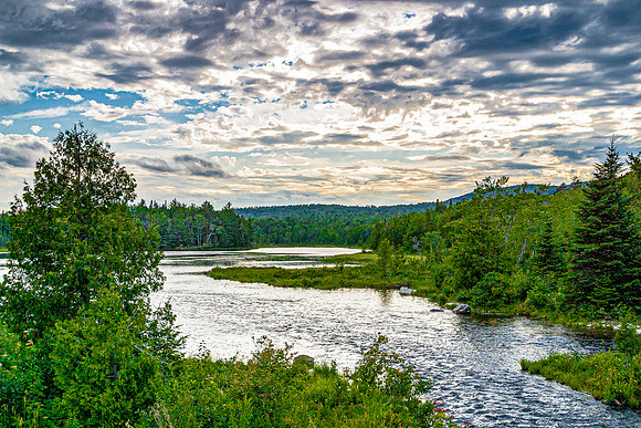 Tranquil River Through Lush Forest Under Cloudy Sky
