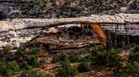Natural Bridges NM