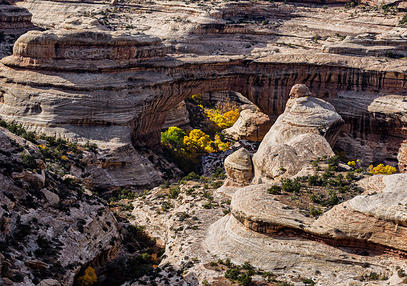 Owachomo Bridge in Natural Bridges National Monument