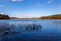 Autumn Landscape of Lake and Forest