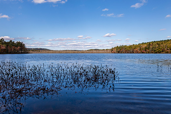 Autumn Landscape of Lake and Forest