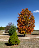 Autumn Colors in New Hampshire Cemetery