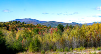 Autumn Foliage in Ossipee, New Hampshire