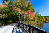 Autumnal Bridge Over Lake