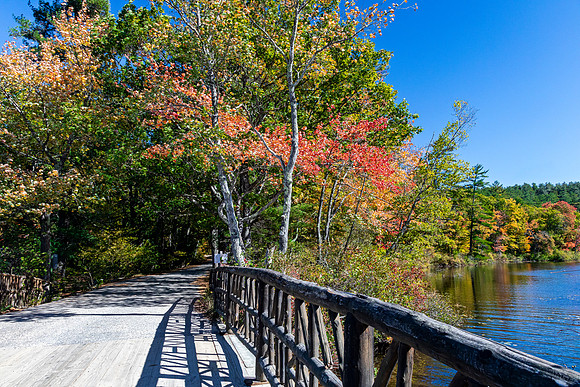 Autumnal Bridge Over Lake