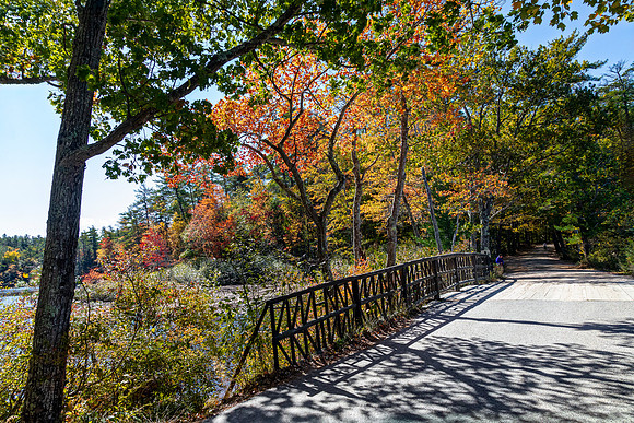 Autumn Bridge Over Water