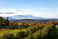 Autumn Orchard in New Hampshire