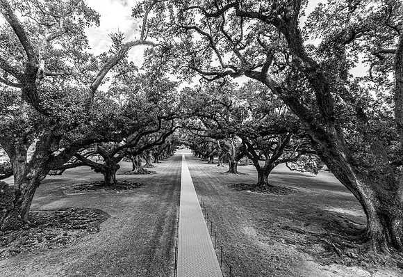 Oak Alley