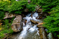 Forest Waterfall Cascade