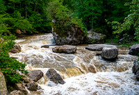 Muddy River Flowing Through Green Forest