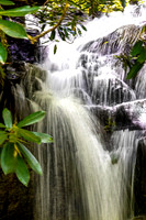 Waterfall framed by green leaves.