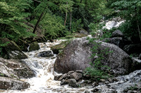 Forest Stream with Cascading Water and Rocks
