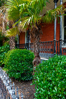 Palm Trees and Shrubs by Brick Building