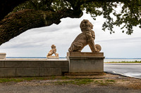 Lion Statues by the Water