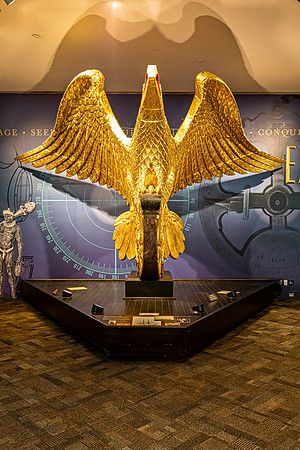 Golden Eagle Sculpture in Museum