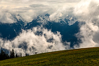 Deer on Hillside with Mountains and Clouds