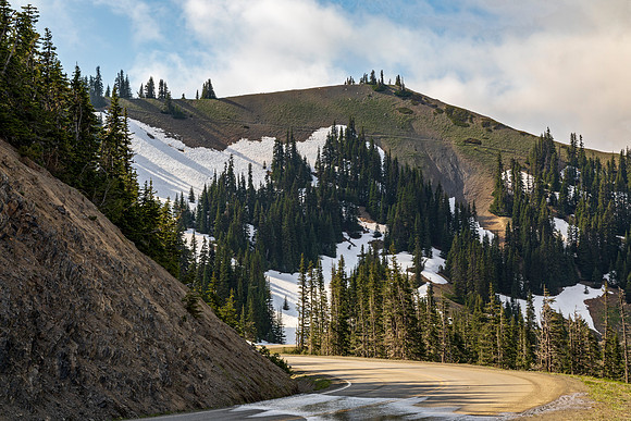 Mountain Road Through Snow and Evergreen Trees