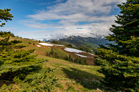 Mountain Landscape with Evergreen Trees and Snow Patches