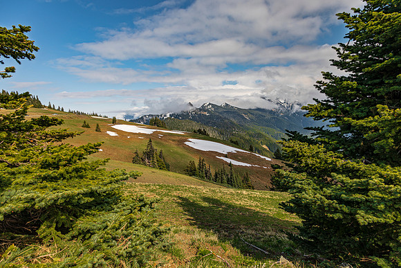Mountain Landscape with Evergreen Trees and Snow Patches