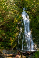 Waterfall in Hoh Rain Forest