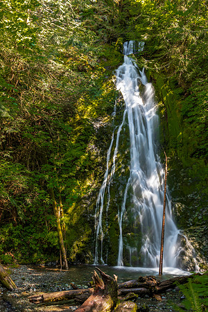 Waterfall in Hoh Rain Forest