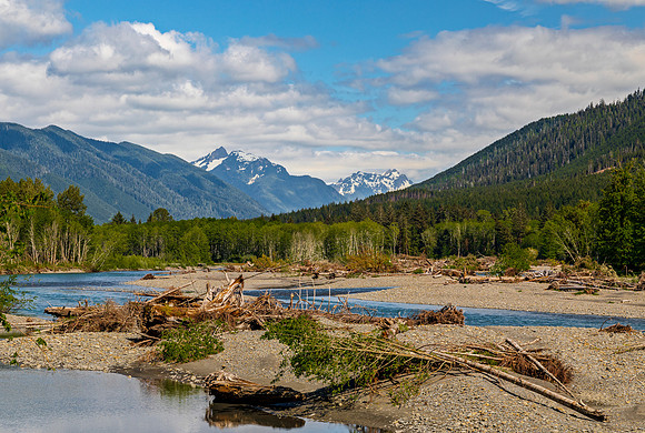 Hoh Riverbed and Mountains