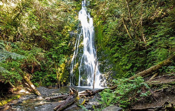 Waterfall in Lush Green Forest