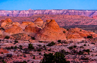 Desert Landscape in Coconino County, Arizona