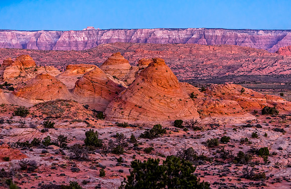 Desert Landscape in Coconino County, Arizona