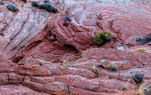 Red Rock Formations in Coconino County