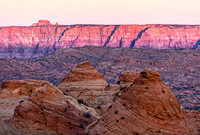 Arizona's Vibrant Desert Landscape