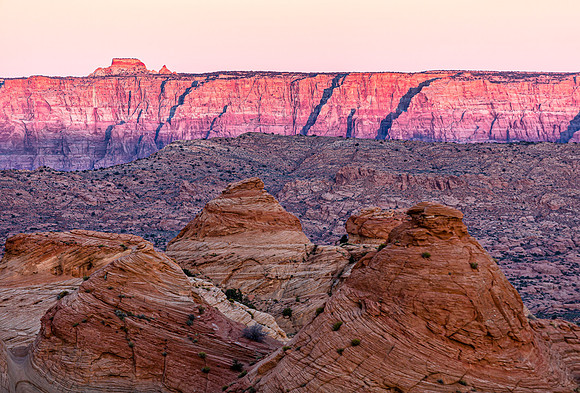 Arizona's Vibrant Desert Landscape