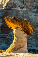 Stud Horse Point 3