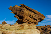 Stud Horse Point 3