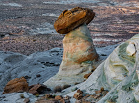 Stud Horse Point 3