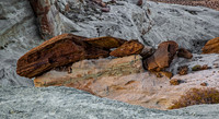 Stud Horse Point 3