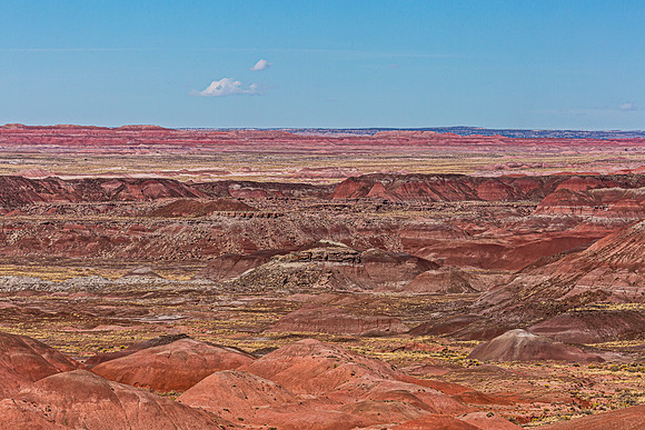 Painted Desert Landscape