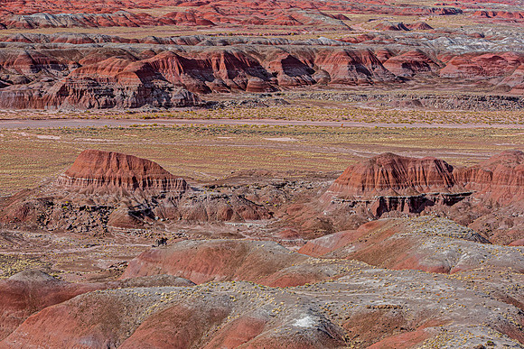 Painted Desert Landscape
