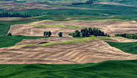 Rolling Hills of the Palouse