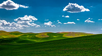 Rolling Green Hills of Thornton, Washington
