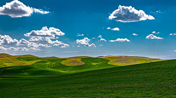 Rolling Green Hills of Thornton, Washington