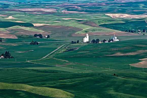 Rolling Hills and Farmlands of Whitman County