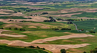 Palouse Rolling Hills Landscape