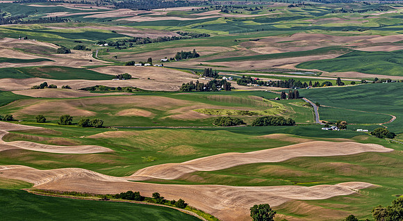 Palouse Rolling Hills Landscape