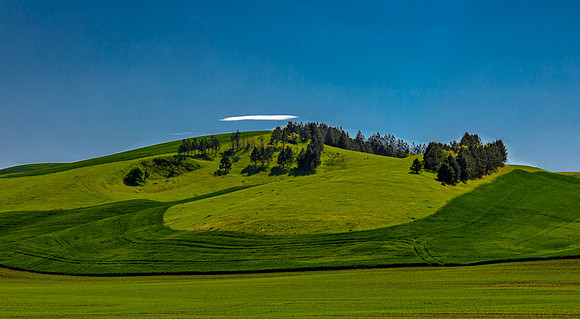 Rolling Hills in Saint John, Washington
