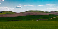 Agricultural Fields in Whitman County, Washington
